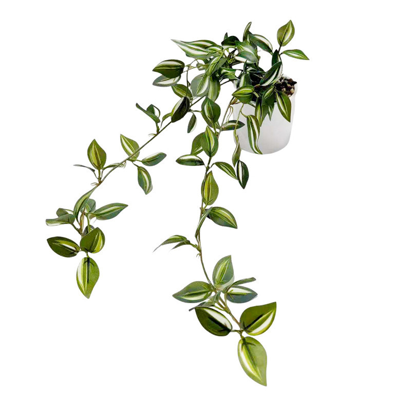 Plante tombante pot ceramique