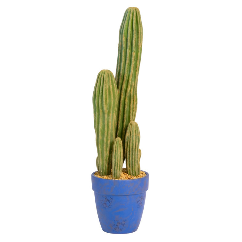 Grand cactus dans pot h66cm