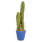 Grand cactus dans pot h66cm
