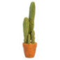 Grand cactus dans pot h66cm