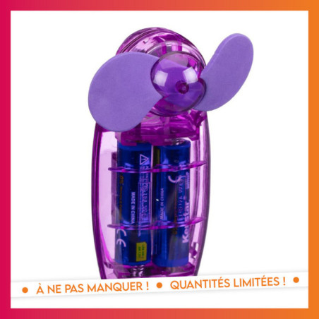Mini ventilateur