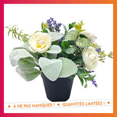 Composition florale en pot