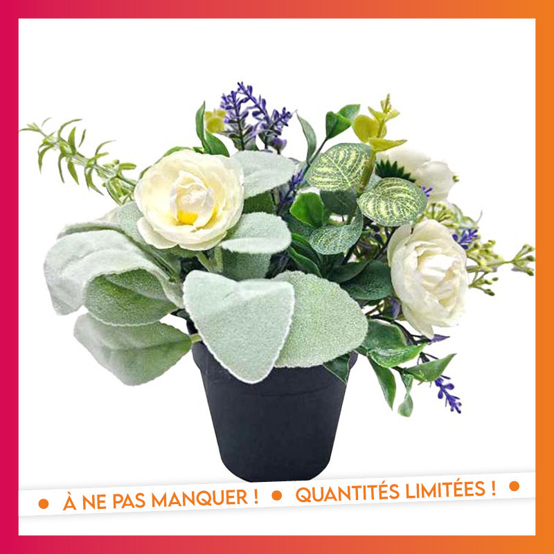 Composition florale en pot