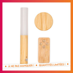 Applique murale magnet rechargea