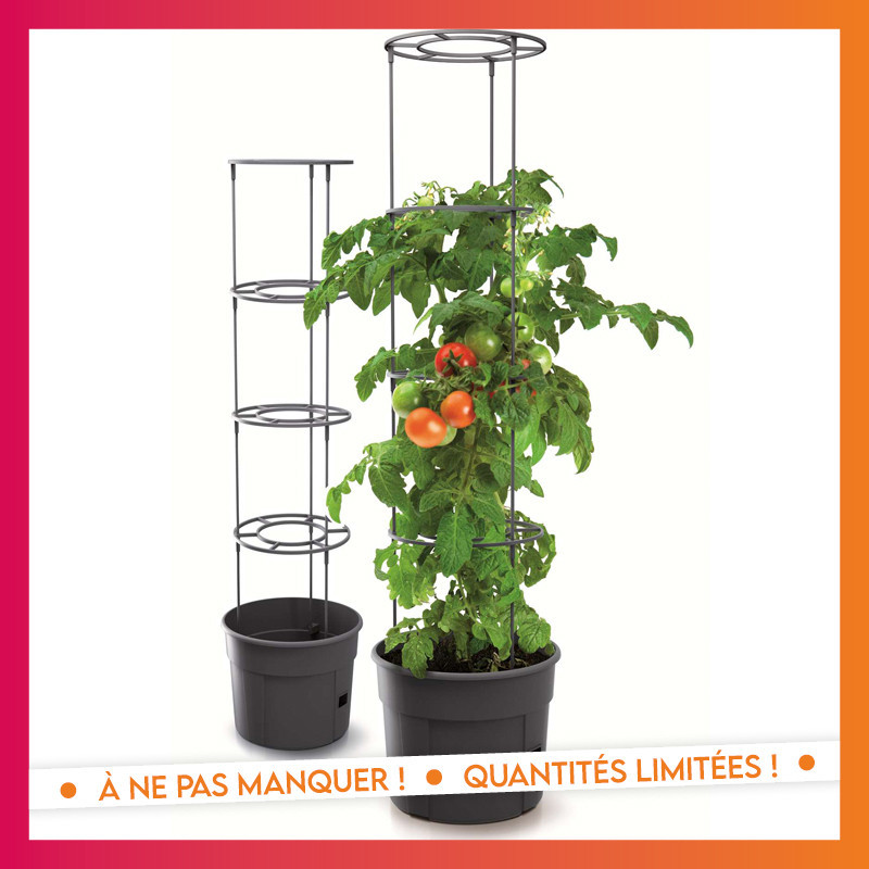 Pot de culture a tomate