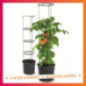 Pot de culture a tomate