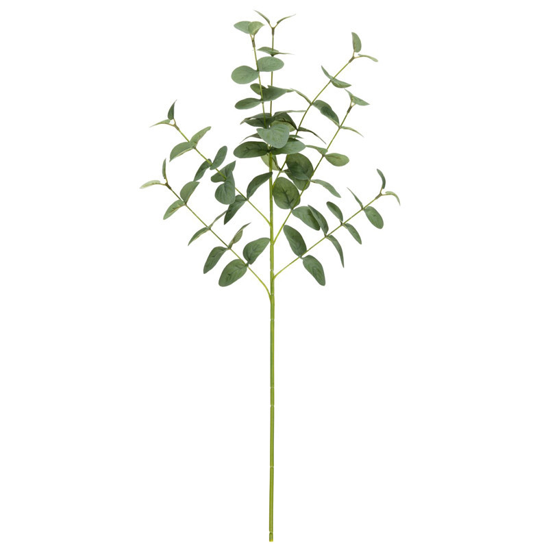 Tige eucalyptus artificiel