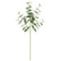 Tige eucalyptus artificiel