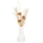 Vase avec fleurs sechees