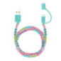 Cable 2en1