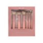 Coffret pinceaux 6pcs rose