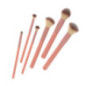 Coffret pinceaux 6pcs rose