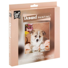 Peinture a diamants 20x20cm