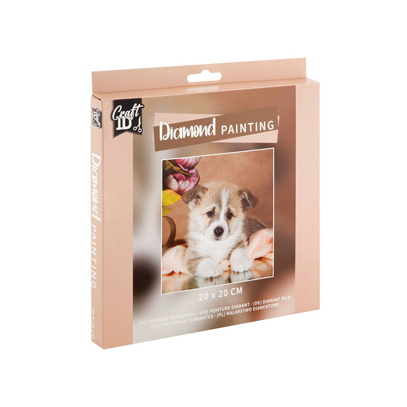 Peinture a diamants 20x20cm