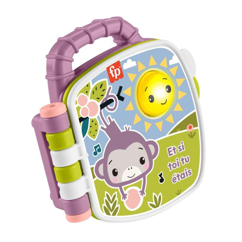 Livre comptines purple monkey