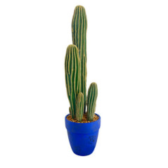Grand cactus dans pot h66cm