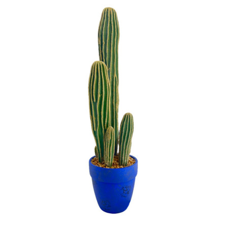 Grand cactus dans pot h66cm