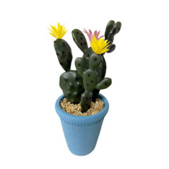 Cactus dans pot bleu