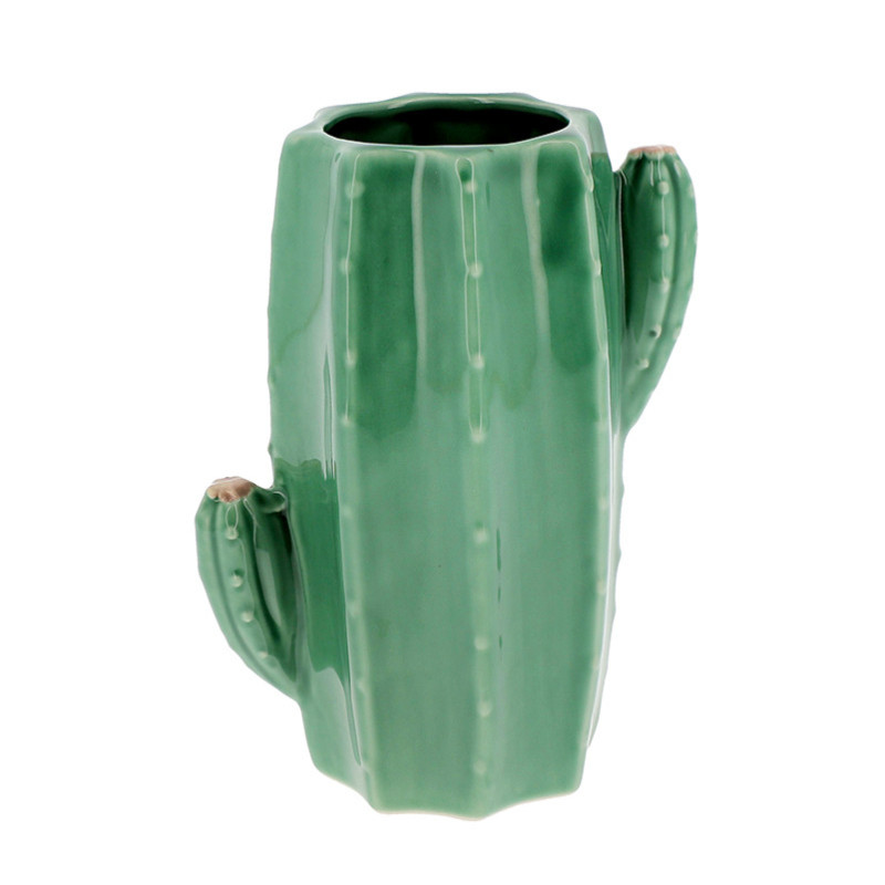 Vase cactus