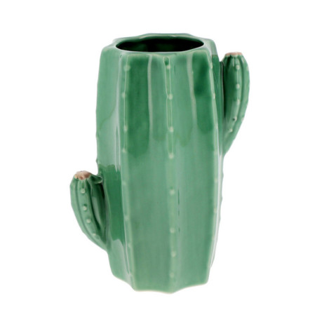 Vase cactus