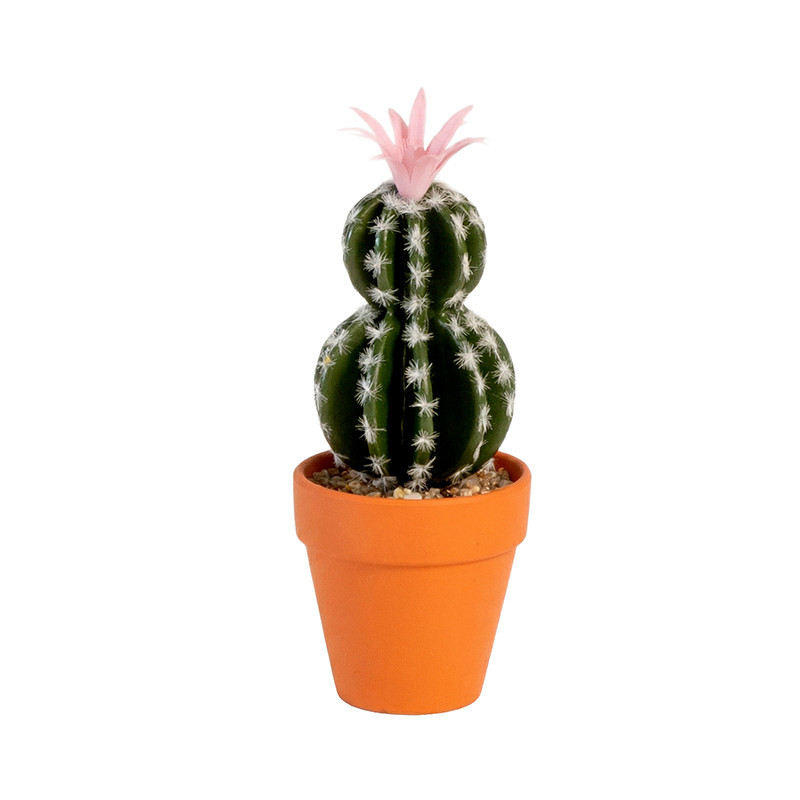Cactus pot terracotta