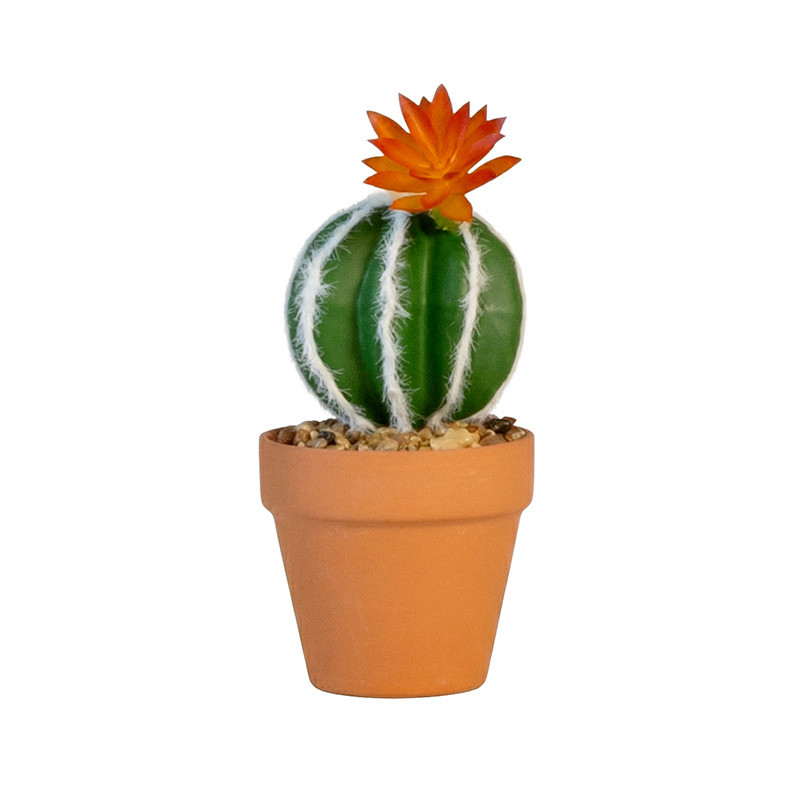 Petit cactus pot terracotta