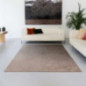 Tapis vital 200x300cm beige