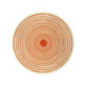Assiette plastique d25cm orange