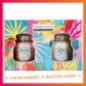 Lot de 2 bougie yankee  - s