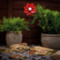 Piquet solaire fleurs metal h49