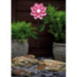 Piquet solaire fleurs metal h49