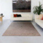 Tapis vital 200x300cm beige