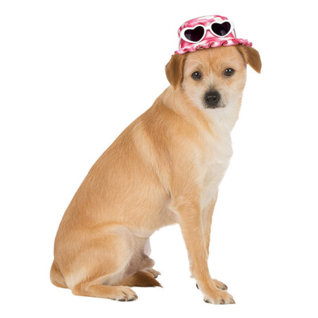 Chapeau avec lunettes de soleil