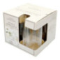 Lot de 4 verres bas fleur