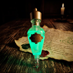 Stylo potion harry potter