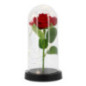 Rose avec led sous cloche