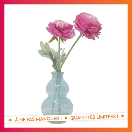Pivoine dans vase colore