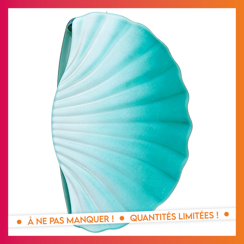 Pince degrade bleue
