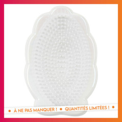 Cdu brosse a cheveux coquillage