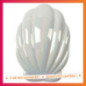 Cdu brosse a cheveux coquillage