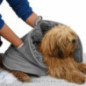 Serviette pour chien chenille