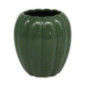 Pot brosse dent citrouille vert
