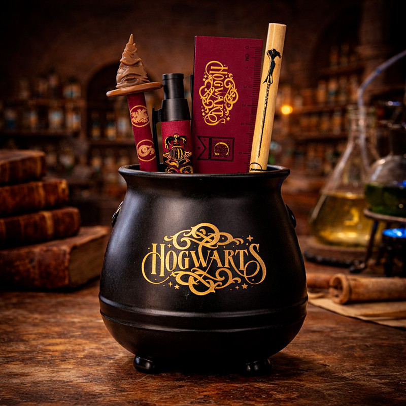 Harry potter  set chaudron acces