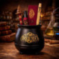 Harry potter  set chaudron acces