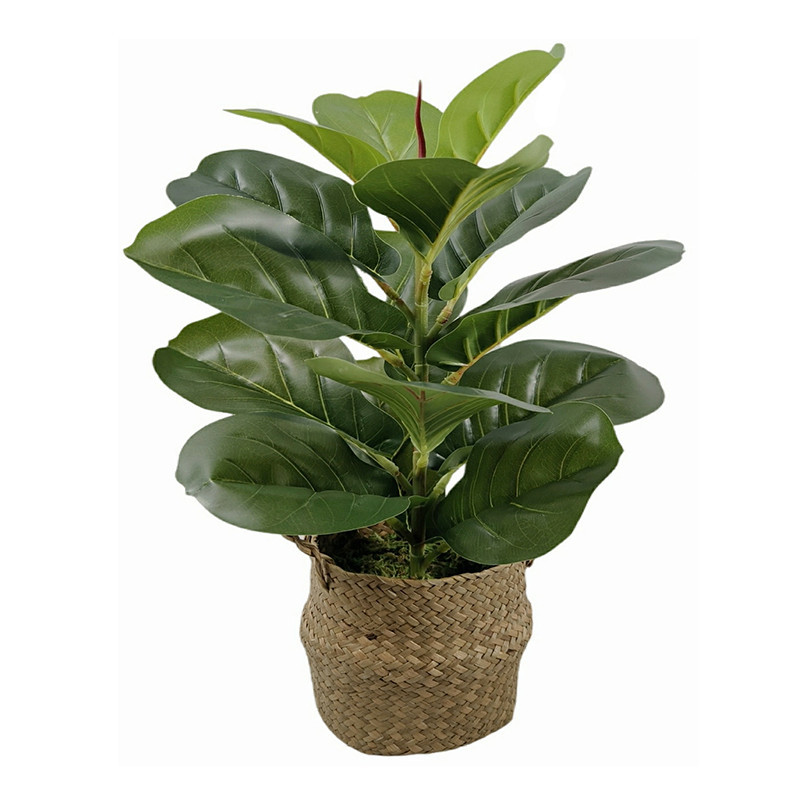 Ficus lyrata artificiel panier