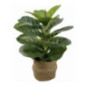 Ficus lyrata artificiel panier