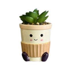 Succulente cafe