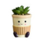 Succulente cafe