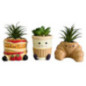 Succulente cafe