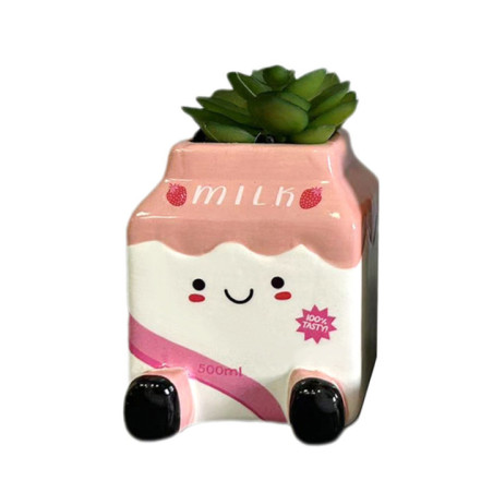 Succulente lait